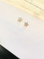 Load image into Gallery viewer, Star Stud Earrings
